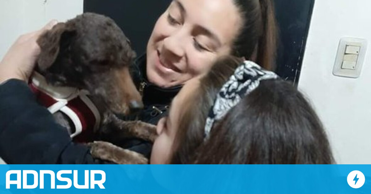 PERROS PELIGROSOS?🐕 😮Una - ADN SUR Agencia de Noticias